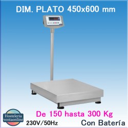 BASCULA ACCUREX RX L GRAM